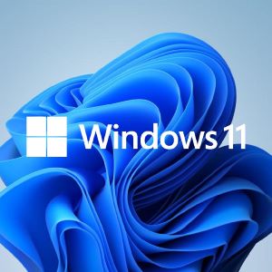 Windows 11_300px_wht